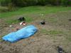 DSCN4540.JPG