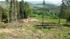 IMG-20170523-WA0000.jpg 