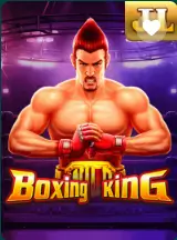 CK444 Boxing King game — uszsmsk.cz